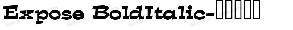 Expose BoldItalic字体转换
